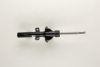 BILSTEIN 22-045515 Shock Absorber